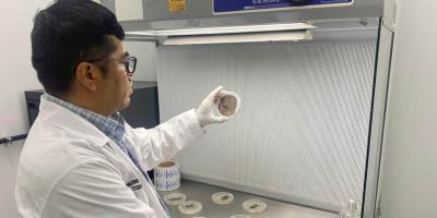 Realizados más de tres mil diagnósticos fitosanitarios 