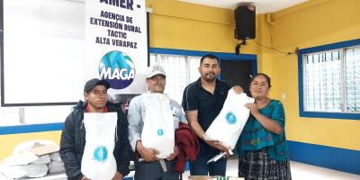 Acciones fortalecen el cultivo de maíz en Alta Verapaz