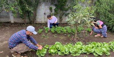 Súmate al proyecto “Jóvenes Apoyando al Extensionismo Rural: Campesino a Campesino”