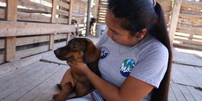 Día Mundial del perro sin raza, una fecha para celebrar la diversidad canina