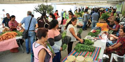 Feria del Agricultor favorece economía de las familias de Fraijanes