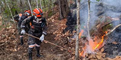 Ejército de Guatemala realiza tareas de supresión de incendios en Baja Verapaz y Quiché.