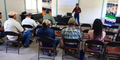 Optimizan asistencia técnica para combatir el Gusano Barrenador del Ganado en Escuintla