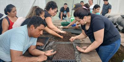 Productores de Retalhuleu aprenden cómo mejorar el rendimiento de cultivos de hortalizas
