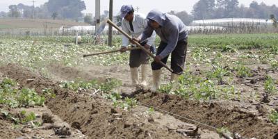 Sector agropecuario debe prepararse ante el inicio de la temporada lluviosa