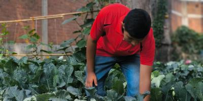 Remozamiento permite sembrar sueños en un huerto escolar