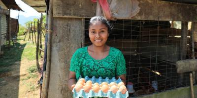 Proyecto de gallinas ponedoras transforma la vida de familias rurales en Alta Verapaz