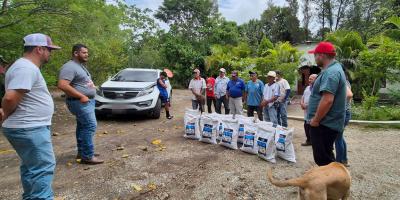 Agricultores de El Progreso reciben semillas de maíz de alto rendimiento 
