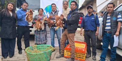 Beneficiarios del CADER reciben gallinas ponedoras