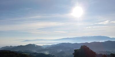 Sol guate