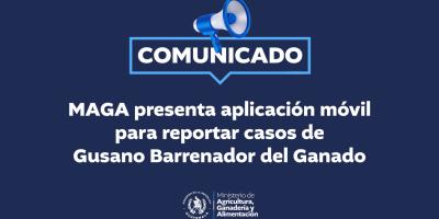 MAGA presenta aplicación móvil para reportar casos de Gusano Barrenador del Ganado