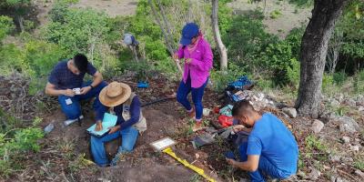 Estudios de suelos contribuyen a mejorar la producción agrícola