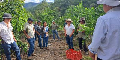 Extensionistas fortalecen capacidades en agricultura familiar