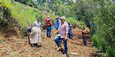 Huerto comunal beneficia a 15 mujeres en Comitancillo 