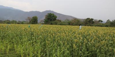 Guatemala fortalece la relación entre el espacio y la agricultura a través de colaboración con Jaguar Space 