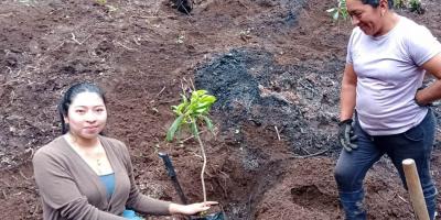 Impulsan agricultura sostenible para conservar el agua y suelo en Sacatepéquez