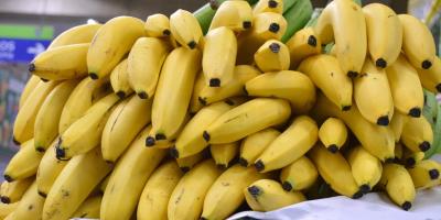 La inocuidad de los alimentos fortalece el sistema agroalimentario