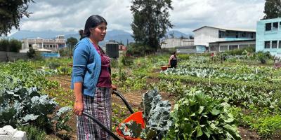 Productoras de El Tejar reciben herramientas para fortalecer sus emprendimientos 