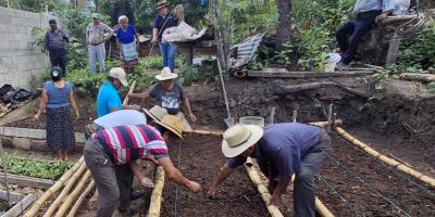 Promueven la producción de hortalizas y cultivos en San Pedro Ayampuc