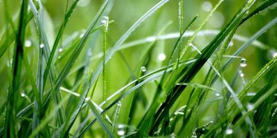 Se emite alerta agropecuaria  y recomendaciones por lluvias