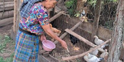 Impulsan proyectos de Alimentos por Acciones para beneficiar a familias de Zacapa