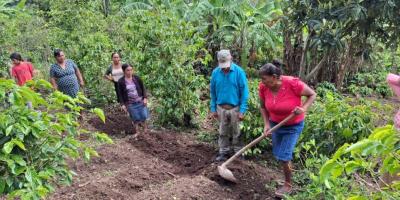 Huerto comunal fortalece a familias agricultoras de Jalapa
