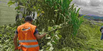 La DGAC reafirma así su compromiso con la seguridad operacional, implementando acciones preventivas que integran el mantenimiento de áreas verdes 