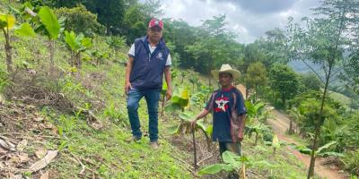Agricultores reciben asistencia técnica para mejorar cultivos de maíz
