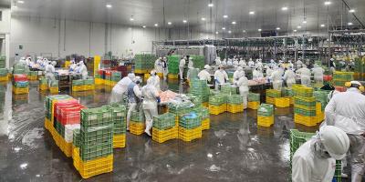 Emiten licencias sanitarias de funcionamiento de rastros