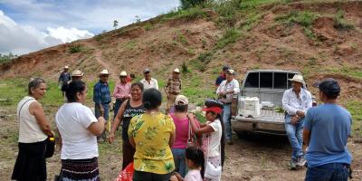 En Zacapa cuidan la calidad y buen desarrollo del cultivo de maíz