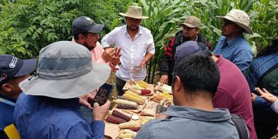 Extensionistas de fortalecen capacidades del Sistema Milpa