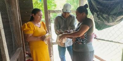 Fortalecen producción avícola en comunidades de Melchor de Mencos