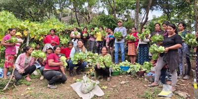 Huerto comunal en Jalapa continúa dando frutos y fortaleciendo la seguridad alimentaria
