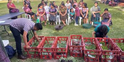 Impulsan huertos familiares en Panajachel con entrega de pilones