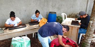Impulsan producción de hortalizas en el sur de Petén