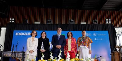 Presidente Bernardo Arévalo 