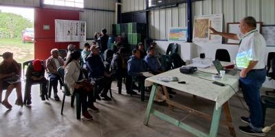 Productores de aguacate aprenden manejo de plagas cuarentenarias