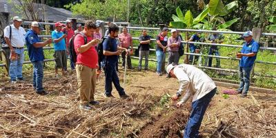 Promueven producción de alimentos sanos en huertos biofortificados de Retalhuleu 