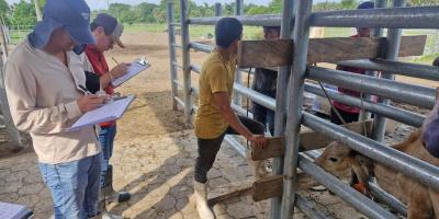 Realizan inspección y peritaje en ganado de raza