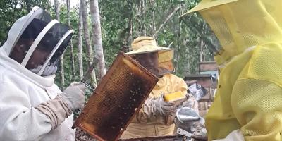 Se brinda asistencia técnica apícola en caserío El Achotal, Poptún