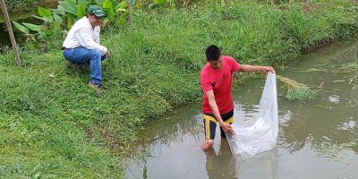 Siembran seis mil alevines para fortalecer producción acuícola en Retalhuleu