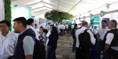 V Congreso de Aguacate impulsa expansión comercial hacia Estados Unidos