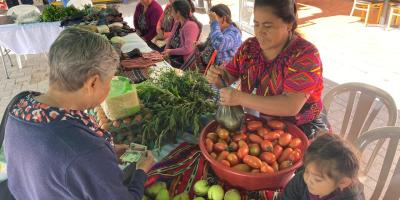 Variedad de productos frescos impulsados en la Feria del Agricultor de Sololá 