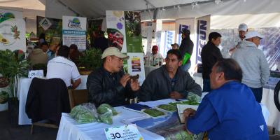 Agroencuentro: conectando el campo guatemalteco con nuevos mercados