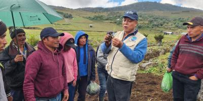 Huertos familiares fortalecen la seguridad alimentaria en Huehuetenango