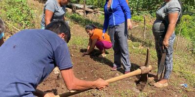 Acciones integrales fortalecen la seguridad alimentaria y nutricional en Santa Rosa