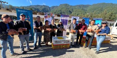 Apoyan con insumos pecuarios a jóvenes emprendedores de Quiché