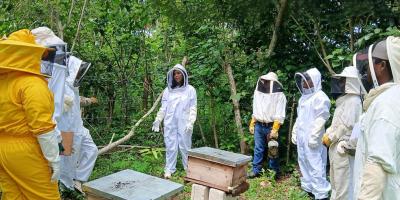 Brindan capacitación en Apicultura Tropical en San Benito, Petén