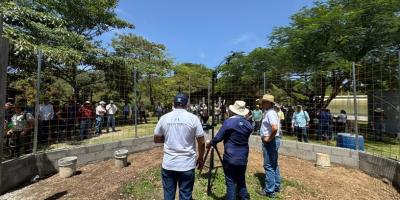 estacion