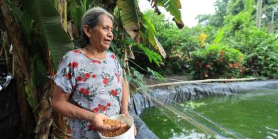El estanque que brinda sustento y desarrollo en Masagua